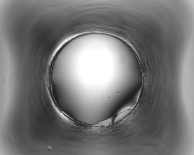 X0000086961531200704301227