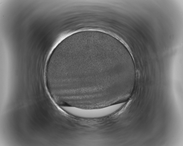 X0000086961533200704301227
