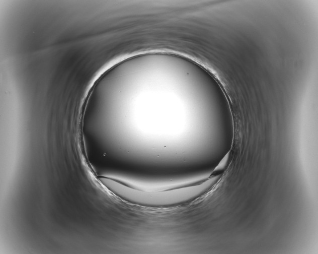 X0000086961534200704301227