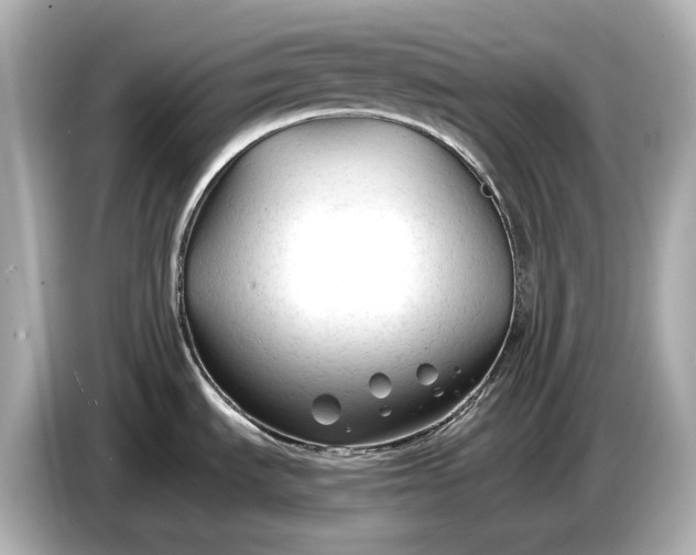 X0000086961535200704301227