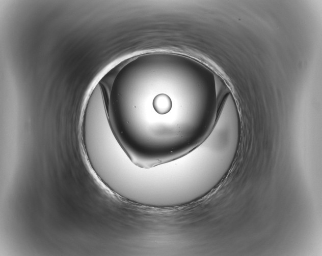 X0000086961536200704301227