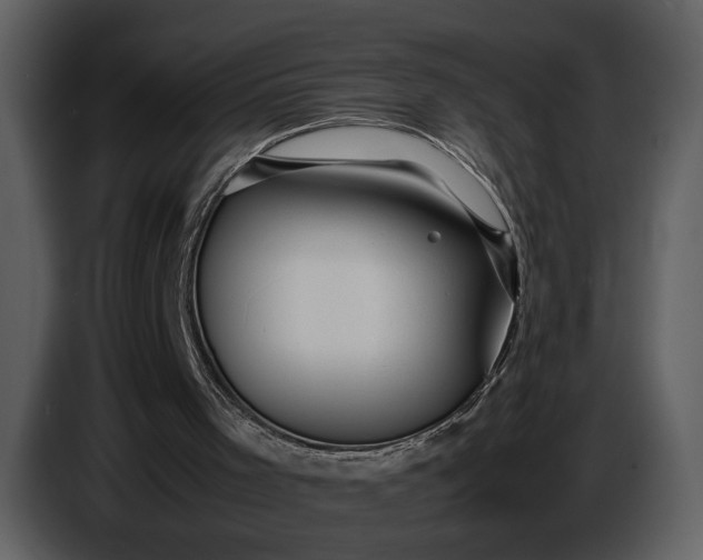 X0000086960001200705071345