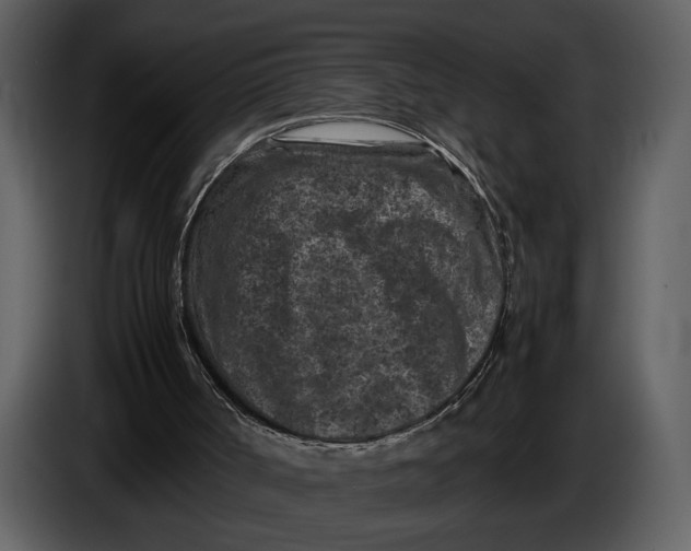 X0000086960002200705071345