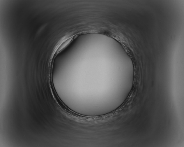 X0000086960003200705071345