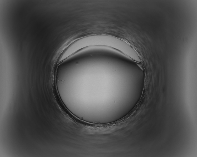 X0000086960005200705071345