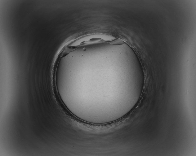 X0000086960006200705071345