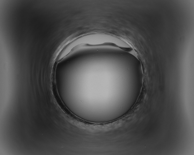 X0000086960007200705071345
