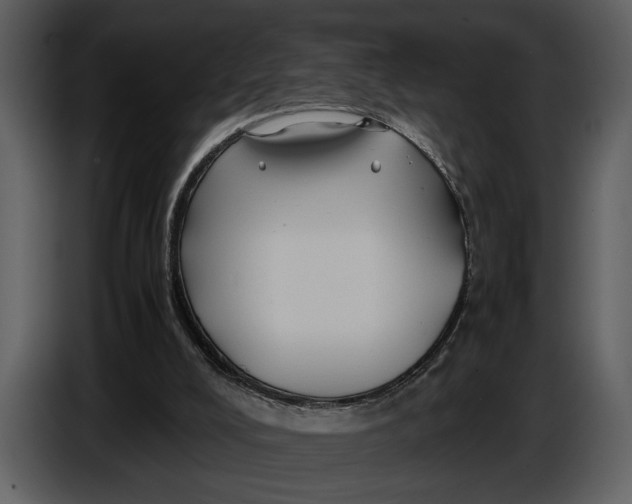 X0000086960008200705071345