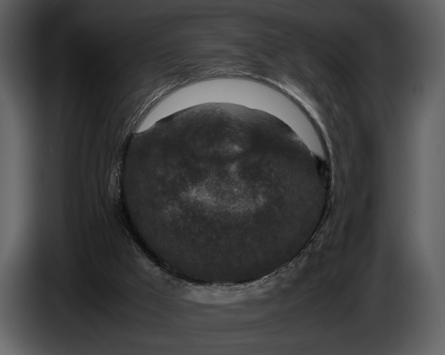 X0000086960009200705071345