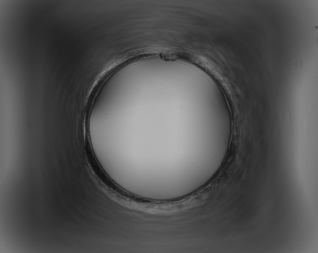 X0000086960011200705071345