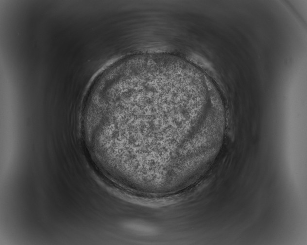 X0000086960012200705071345