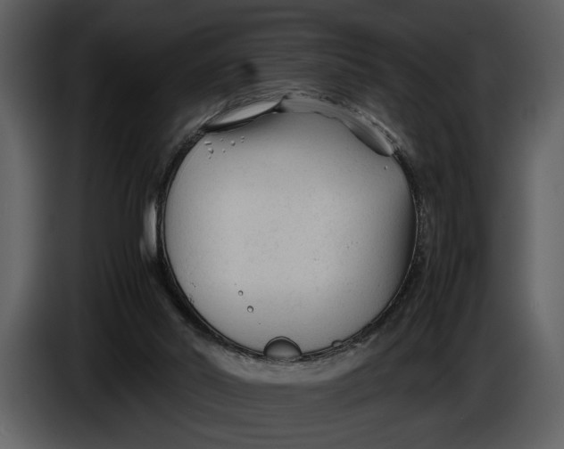 X0000086960014200705071345