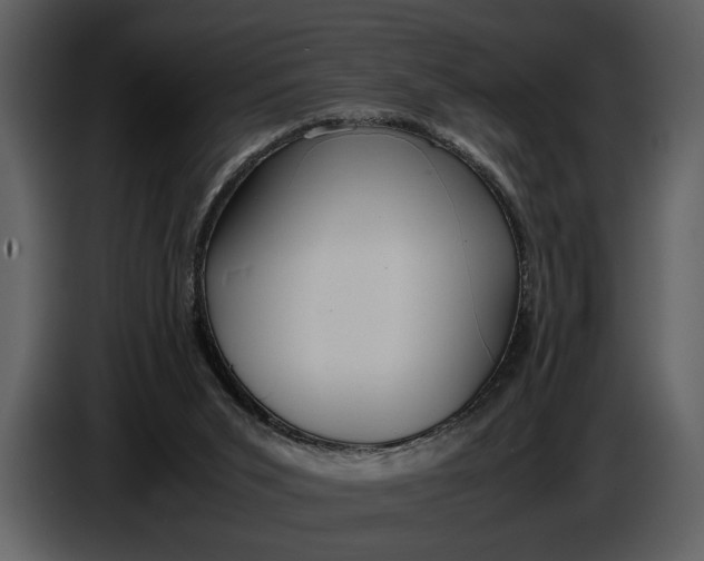 X0000086960015200705071345