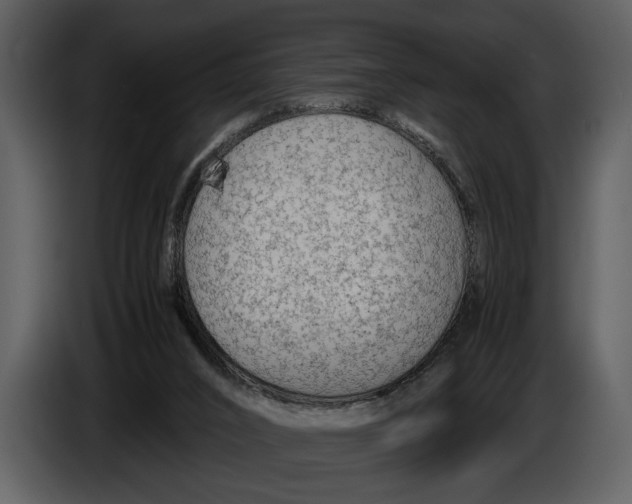 X0000086960016200705071345