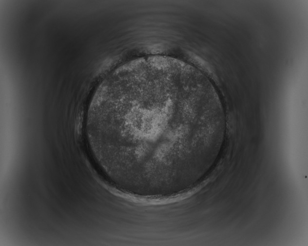 X0000086960018200705071345
