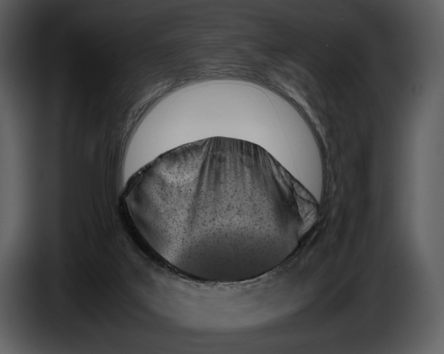 X0000086960019200705071345