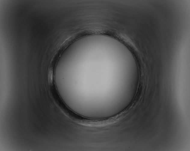 X0000086960021200705071345