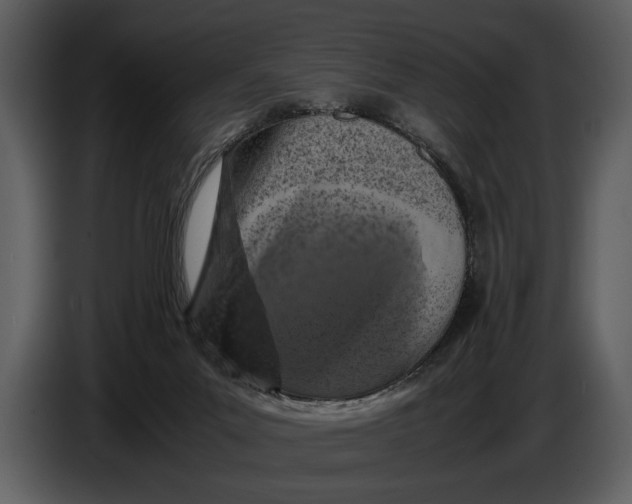 X0000086960023200705071345