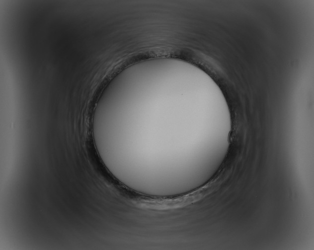 X0000086960025200705071345