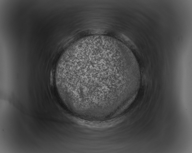 X0000086960026200705071345