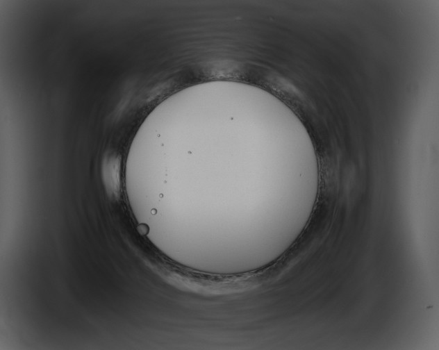 X0000086960028200705071345