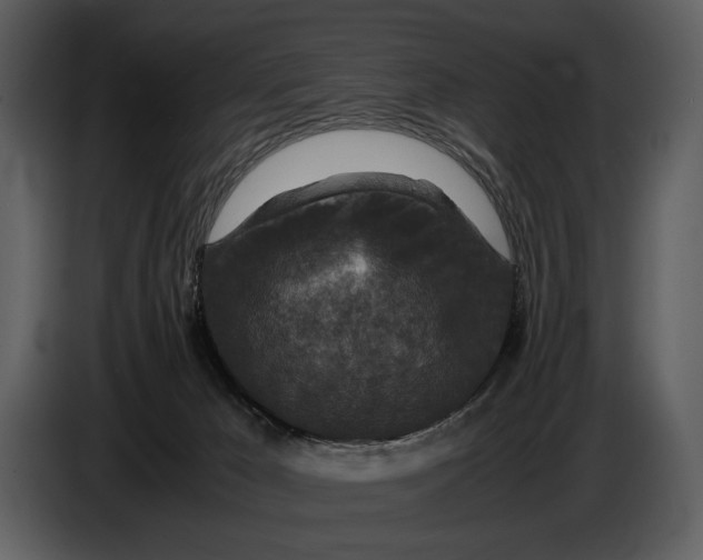 X0000086960029200705071345