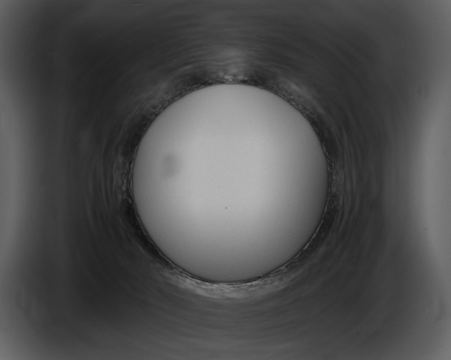 X0000086960030200705071345