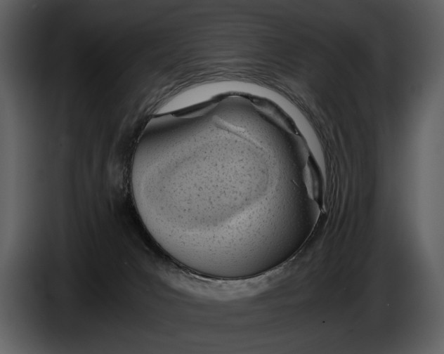 X0000086960031200705071345