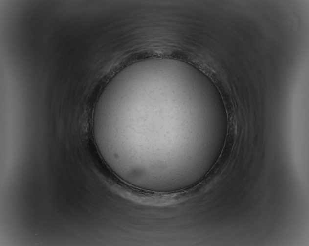X0000086960032200705071345