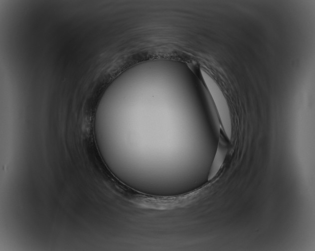 X0000086960033200705071345