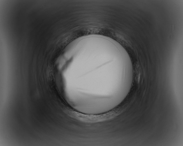 X0000086960034200705071345