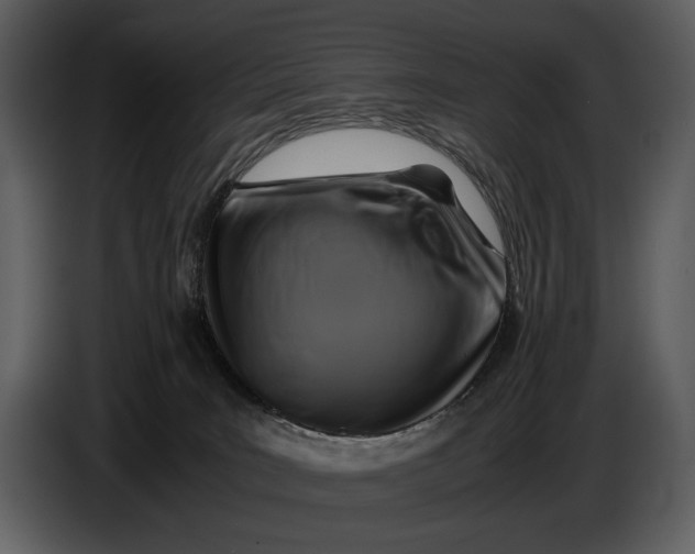 X0000086960035200705071345