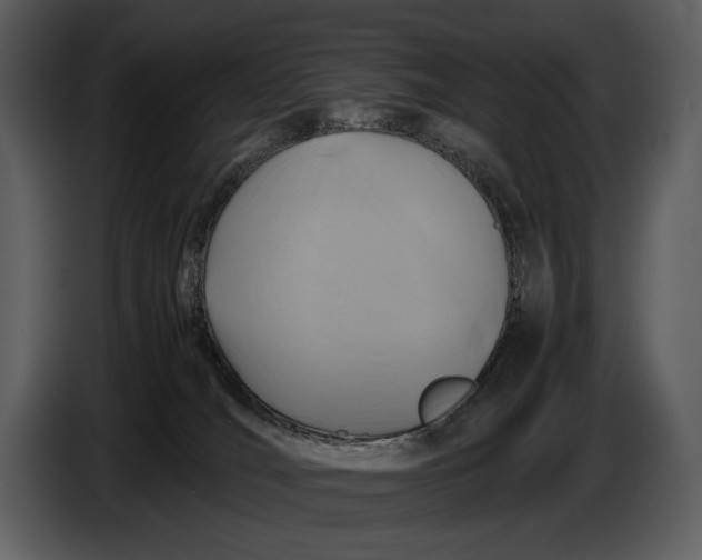 X0000086960036200705071345