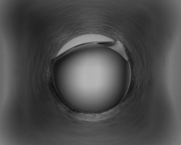 X0000086960037200705071345