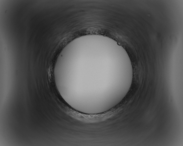 X0000086960038200705071345
