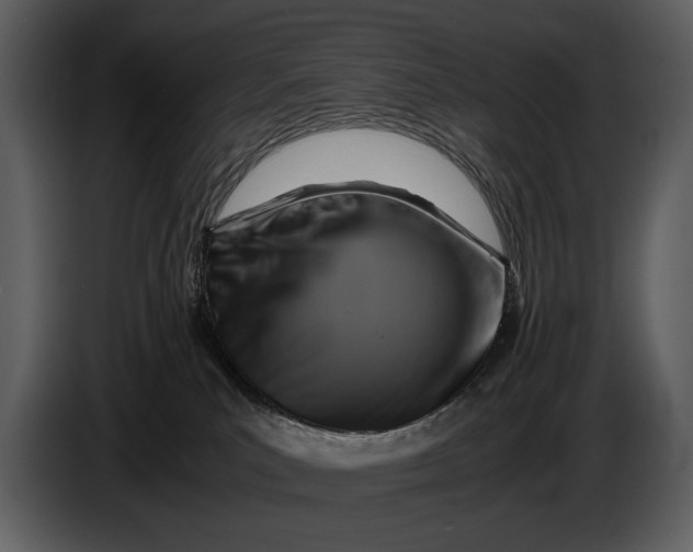 X0000086960039200705071345