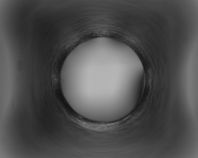X0000086960040200705071345