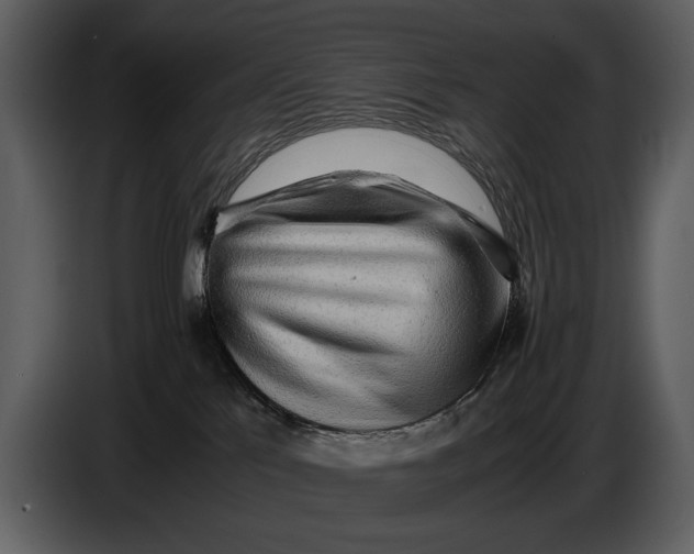 X0000086960041200705071345