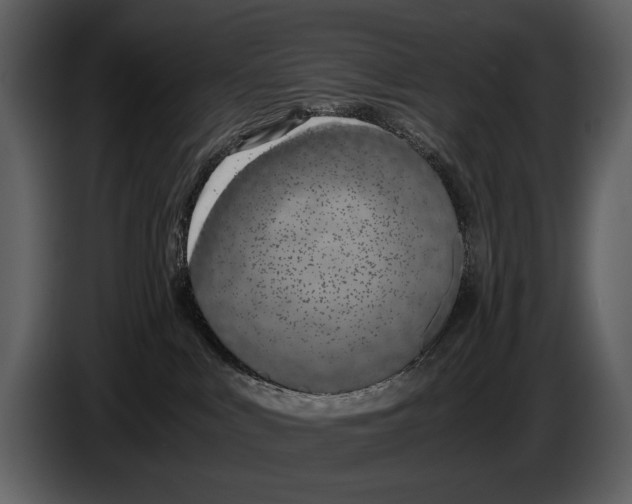 X0000086960043200705071345