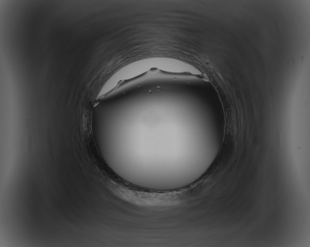 X0000086960044200705071345