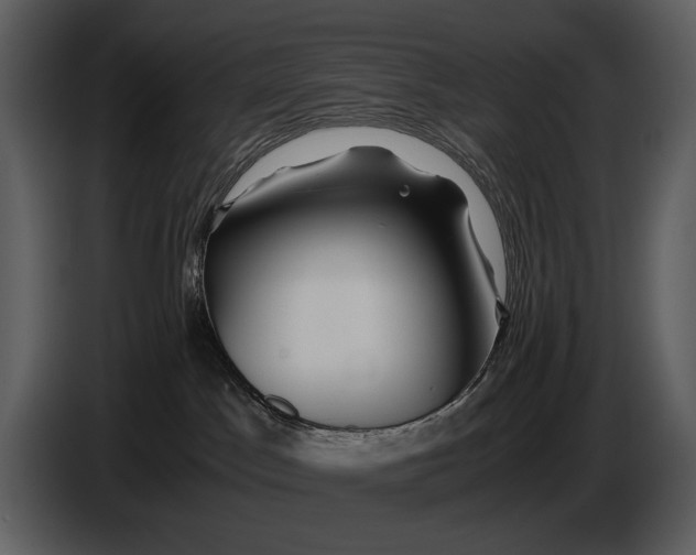 X0000086960045200705071345