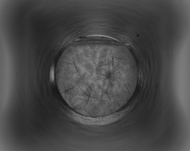 X0000086960046200705071345