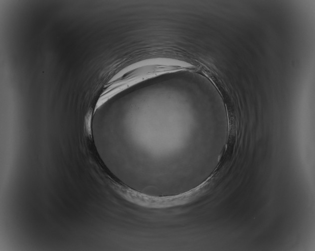 X0000086960047200705071345