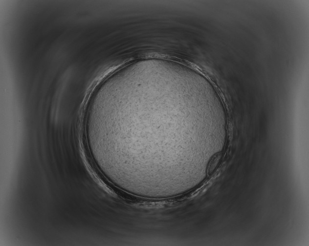 X0000086960049200705071344