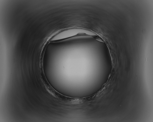 X0000086960050200705071344