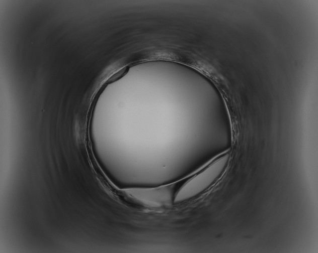 X0000086960051200705071344