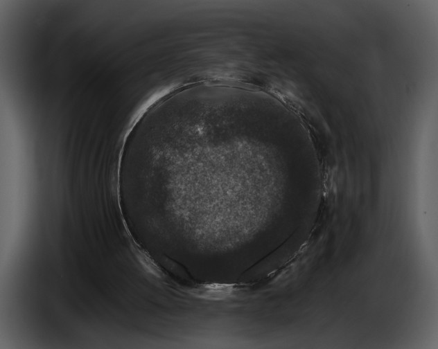 X0000086960052200705071344