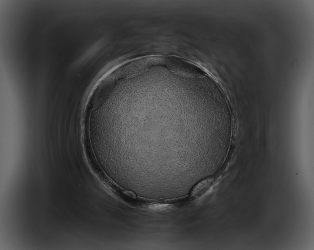 X0000086960055200705071344
