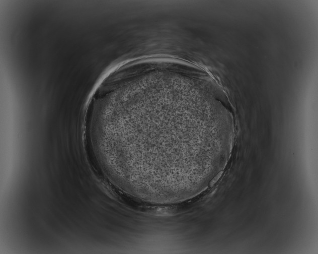 X0000086960056200705071344