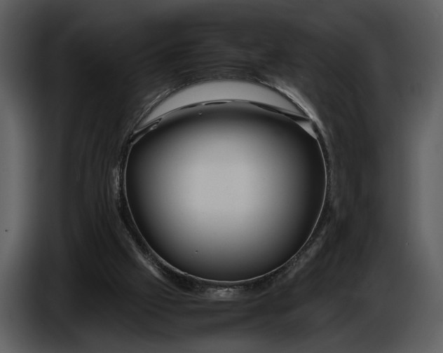 X0000086960057200705071344